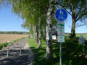 Abzweig Rote Route Hainich Abzweig Rote Route Hainich