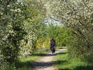 Unstrut-Radweg Artern