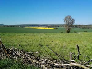 Landschaft bei Oberdorla