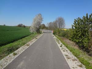 Unstrut-Werra-Radweg