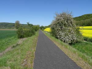 Werratal-Radweg Werratal-Radweg